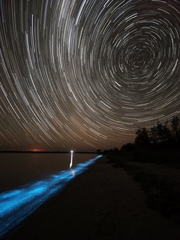 Bioluminescent algae, Noctiluca Scintillan, in waves lapping at a beach on the Gippsland Lakes. This was a 1.5 hour exposure.