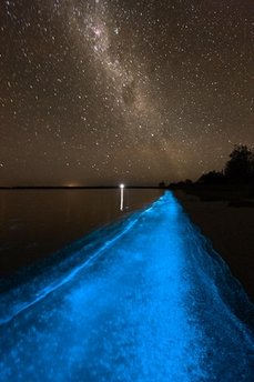 Bioluminescent algae at Camp Cooinda on the Gippsland Lakes in eastern Victoria.