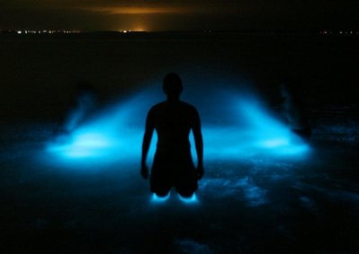 A man stands still as others splash algae-laden water behind him.