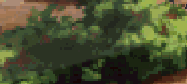 MoreShrubbery.png