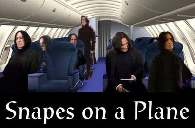 SnapesOnAPlane.jpg