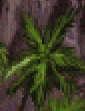 Palm tree 2.png