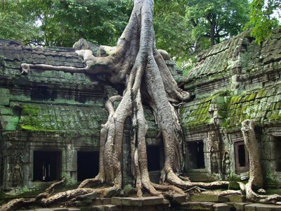 Giant tree owns this Cambodian temple now - Imgur.jpg