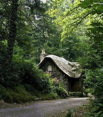 Hidden Forest Cottage, Blaise Woods, Bristol, England