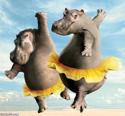 Hippo-Ballet-34304.jpg