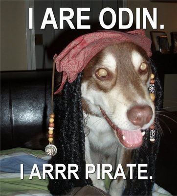 IAreOdinIArrPirate1.jpg