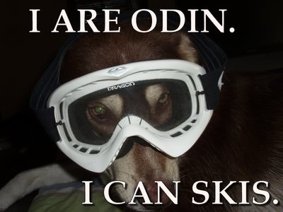 iareodin-icanskis.jpg