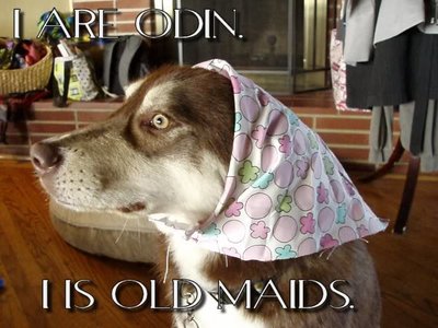 iareodin-oldmaid.jpg