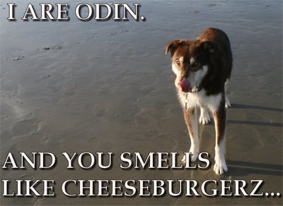 odinsmellslikecheeseburgerz.jpg