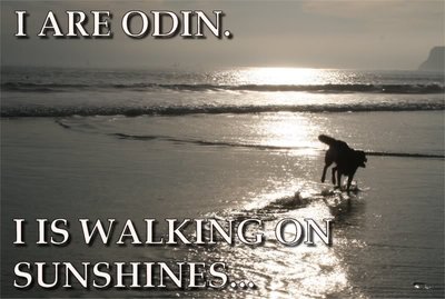 odinwalksonsunshine.jpg