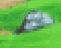 Picture.jpg