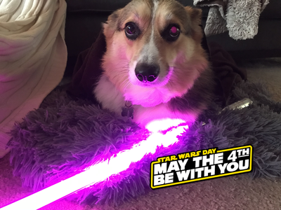MoxieMay_MayThe4th.png