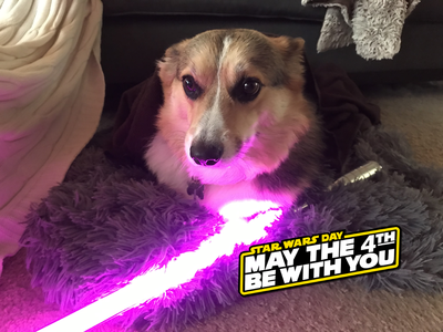 MoxieMay_MayThe4th_B.png
